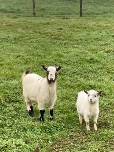 L'Escale Normande