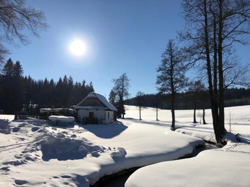 Hotel a Penzion PEGAS - Vlachovice