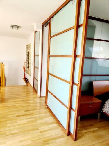 luxury 4 bedroom roof apt with 3 balconies & view, Vídeň (fotografie 3)