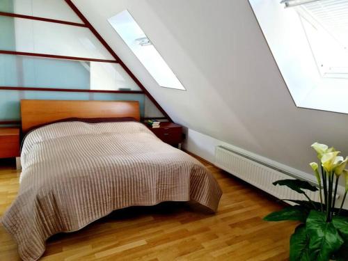 luxury 4 bedroom roof apt with 3 balconies & view, Vídeň (fotografie 11)