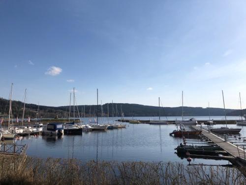 View, Riviera Lipno Provence in Lipno nad Vltavou