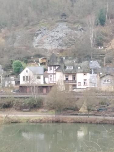 Natur pur