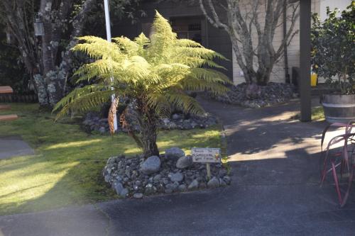 Garten, Judges Pool Motel in Turangi