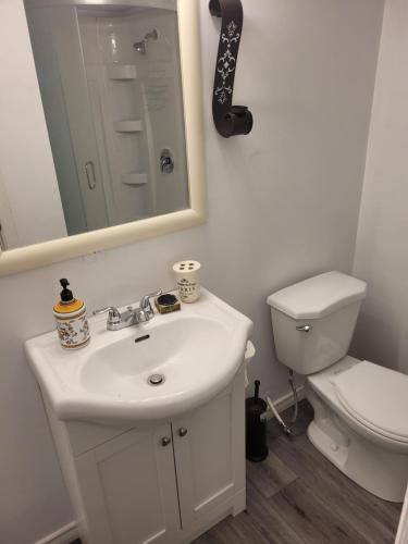 Adorable Studio Basement Suite in South Barrie