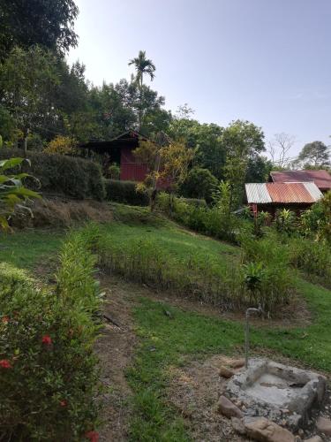 クアラタハン Durian Chalet 3つ星 ゲストハウス プール