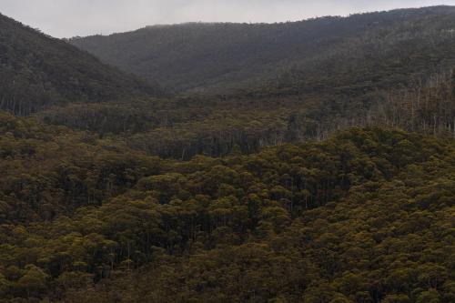 Tiny Escapes Cradle Valley