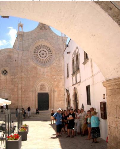 Room in BB - Elegant double room in ancient Masseria near the sea in a quiet olive trees