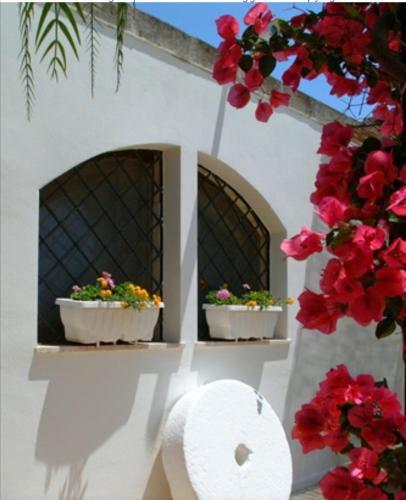  Room in BB - Double room in ancient Masseria near the sea in a quiet olive trees in Ostuni