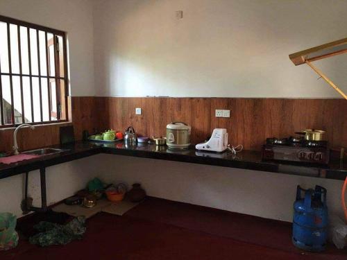 Panda guest house