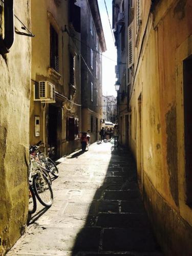 Room at Vacation Station Piran