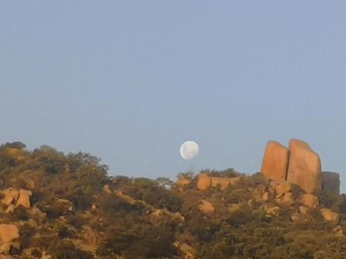 Boulders Safari Lodge