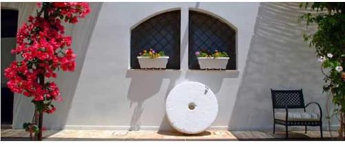  Room in BB - Spacious double room in ancient Masseria near the sea in a quiet olive trees in Ostuni