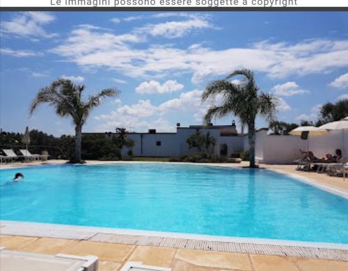  Room in BB - Spacious quadruple room in ancient Masseria near the sea in a quiet olive trees in Rosa Marina