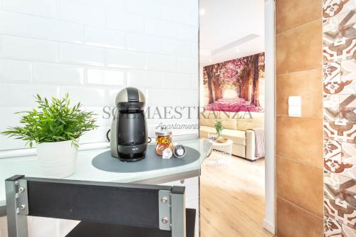 SolMaestranza - image 4