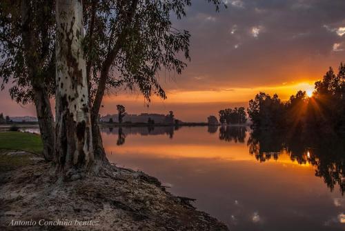 สภาพแวดล้อมโดยรอบ, กอนเดดู (Condedu) in บาดาโฮซ