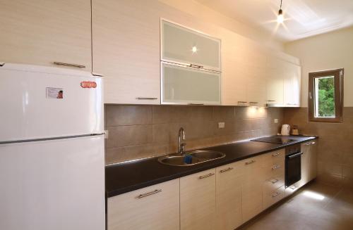 Apartments Dangubic - image 10