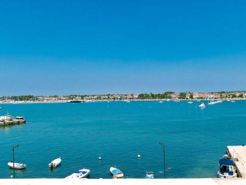  Apartment Karla by Interhome in Umag