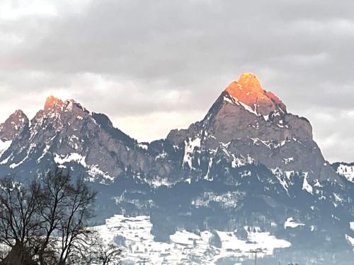 Ferienwohnungen mit 4 Betten in Gersau direkt am Vierwaldstättersee in Gersau