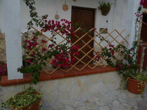 B&B La Taverna dei Ciucci