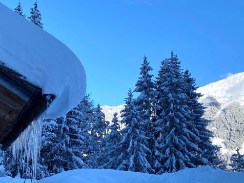 AlpenApart Montafon - Bitschweil Hüsle - image 10