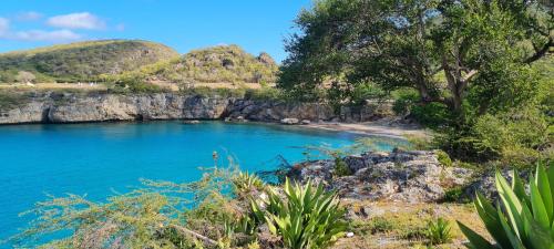 Super villa with large private pool and crystal clear public beach