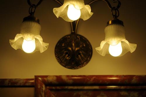 Hotel Villa Maria - image 10