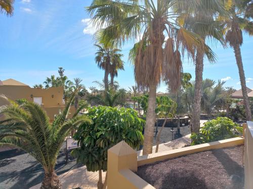 Apartamentos Corralejo Playa Oasis 2