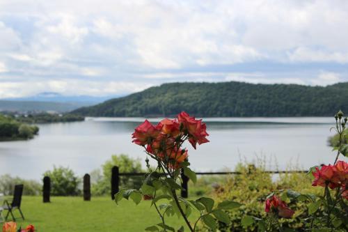 Agroturismo Atxarmin - image 13