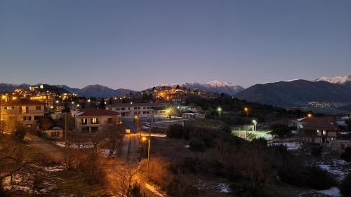Skats, Xenonas Epavli in Levidi