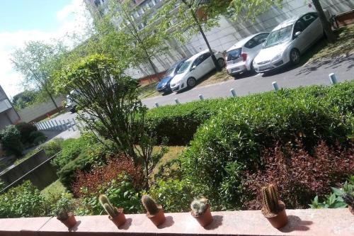 Le Dakar - T2 avec Parking offert, Toulouse