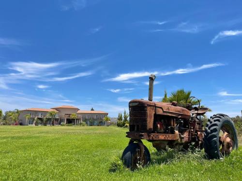 Sueños Resort, Valle de Guadalupe (foto 9)