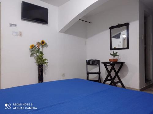 Hotel Plaza Calarca
