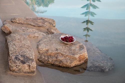 Villa Ker by Ethos Hospitality- 5 Bedrooms Villa Ker by Ethos Hospitality- 5 Bedrooms