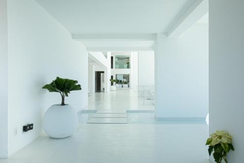 Casa Elevar at Orchid, Puerto Vallarta (photo 6)