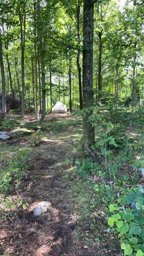 Naturglamping in Lyckans Höjd