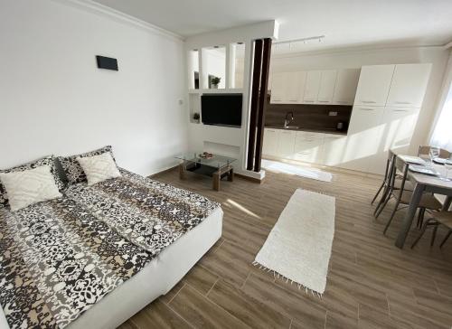 One-Bedroom Apartment image 5