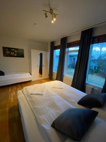 Big apartment perfect for groups or families