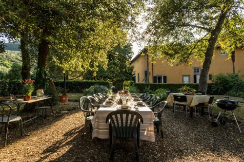Villa Gattaiola Rewind In Style In a Renaissance Villa with Pool among the Vineyards in Lucca Property overview - image 5