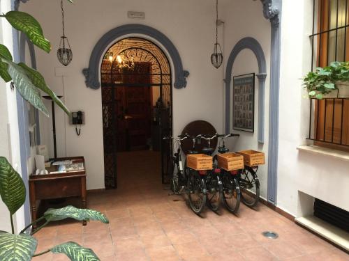 Apartamentos Edificio Palomar - image 13