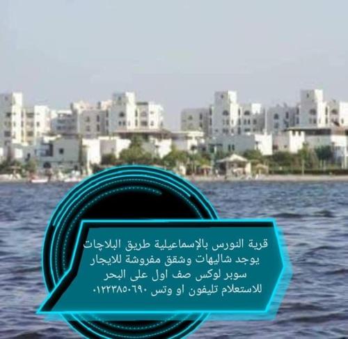 شاليهات السعد قرية النورس