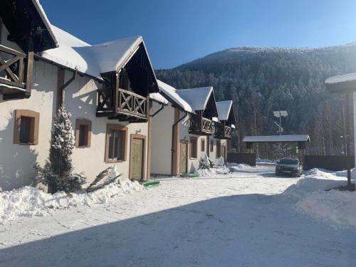 Карпатський Готель Олександрія, Mykulytschyn