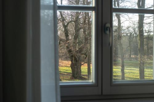 Palac i Folwark Brzeznica in Osiecznica