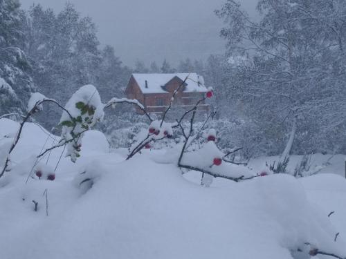 Chalet bois au milieu des Pyrénées gîte à louer L'Hospitalet-près-l'Andorre