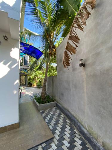 Kert, Villa Freiheit Himmel in Bentota