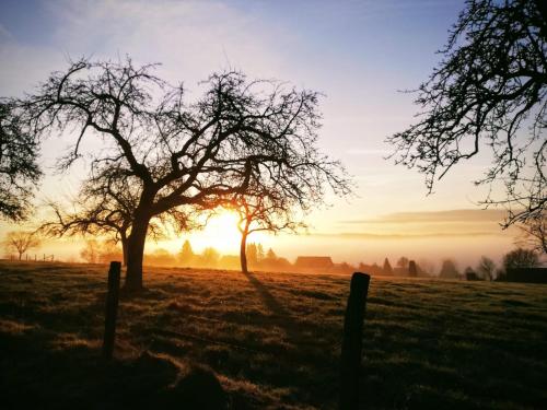 Gemütliches Fachwerk im Oberbergischen (Gemutliches Fachwerk im Oberbergischen) in วีห์ล