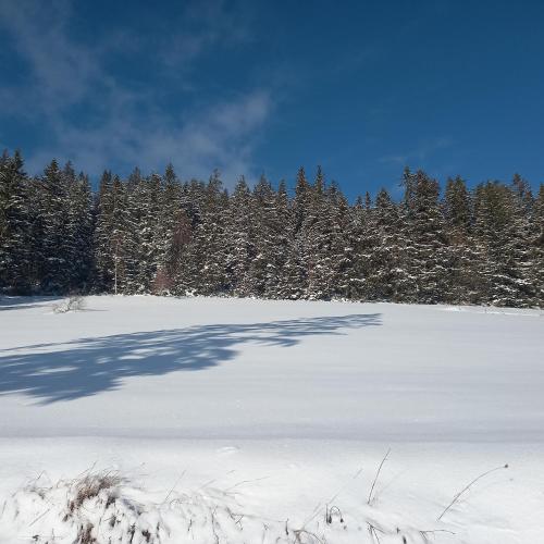 Vikendice Jasen, Nova Varoš (fotografie 11)