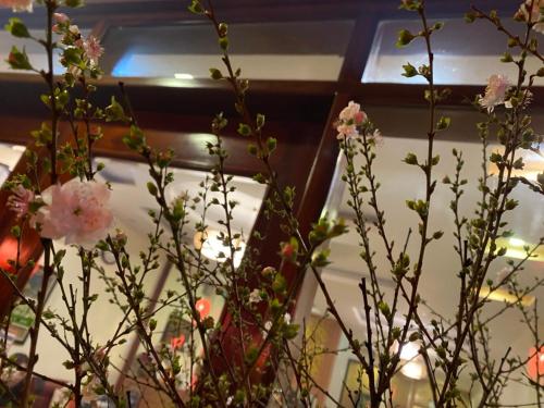 共用Lounge/電視區