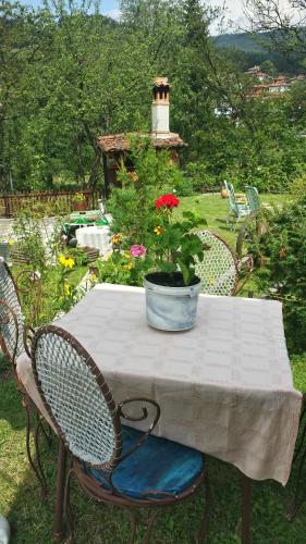 Mechta Guest House - image 5