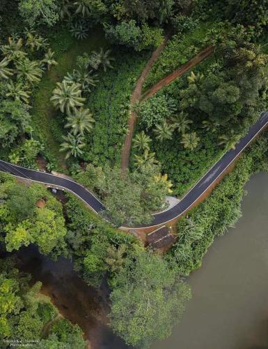 Sinharaja Forest Gate