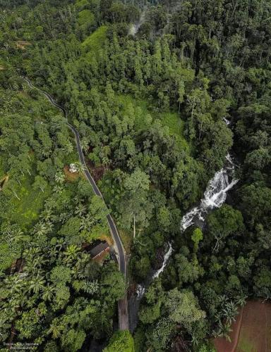 Sinharaja Forest Gate